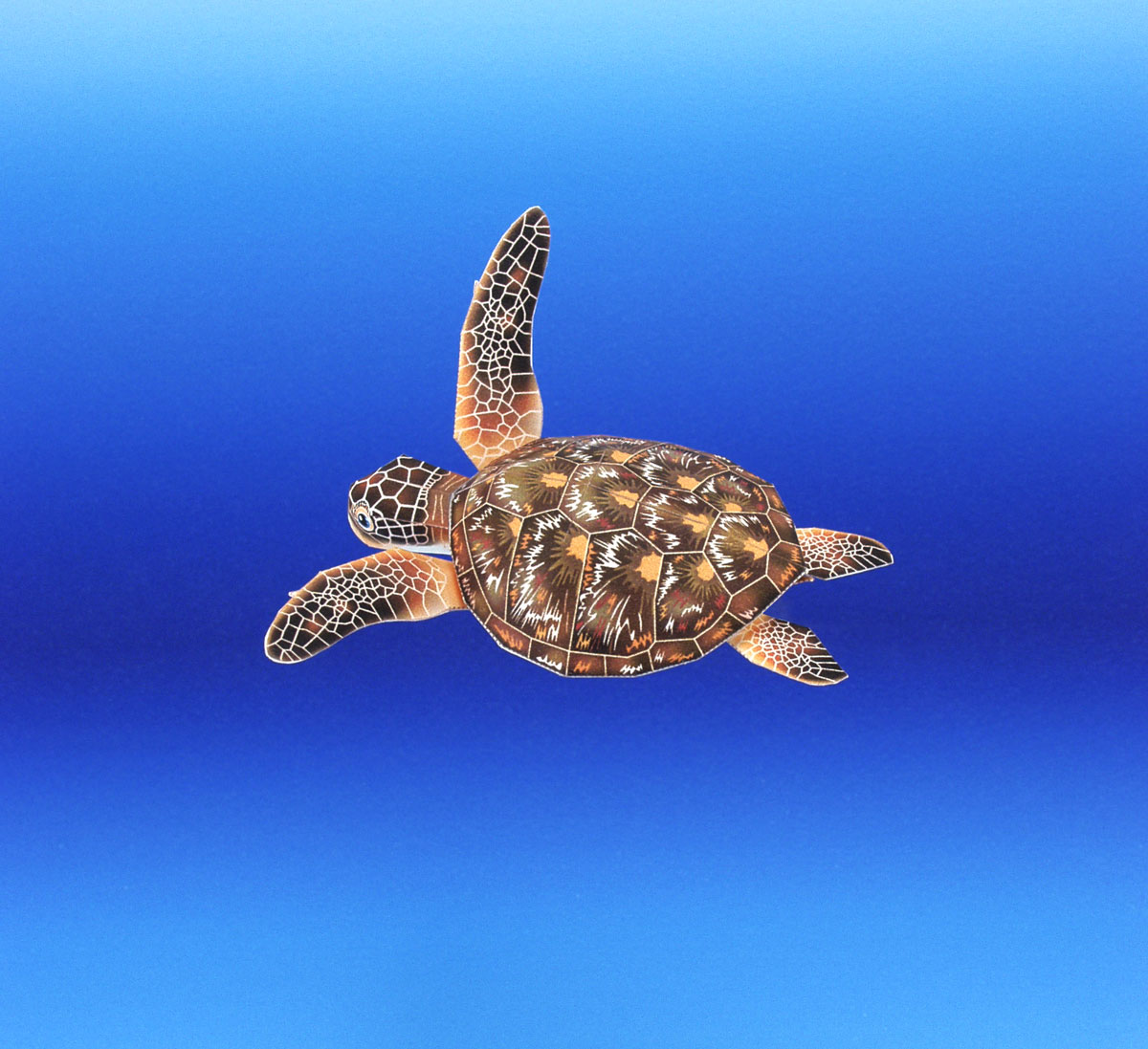 月刊ダイビングワールド掲載、海の生き物のペーパークラフト4月号から6