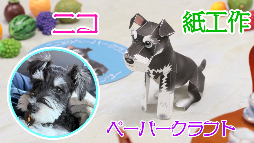 【犬・工作・無料型紙】かわいい「わんこ」を手作り！ミニチュアシュナウザー「ニコ」のペーパークラフト